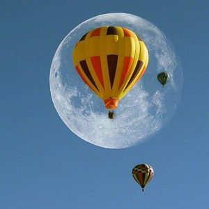 Meet your Posher, Gerald